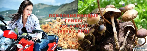 apvp Долгопрудный