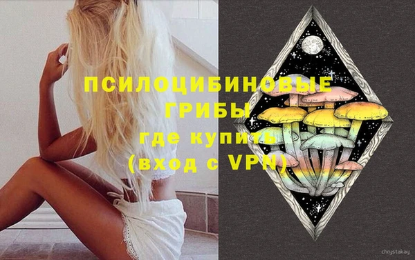 PSILOCYBIN Волоколамск